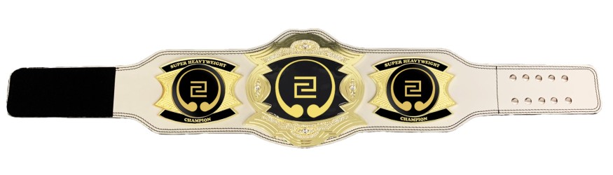PROGEM GOLD CHAMPIONSHIP BELT - PROGEM/G/CUSTOM ***BEST SELLER***